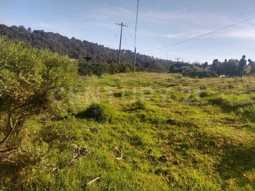 Imagen 11 de 16 de Terreno En Venta En El Pueblo Mágico De Villa Del Carbón