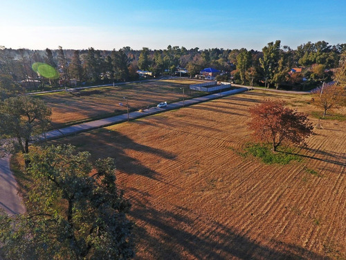 Imagen 5 de 14 de Terrenos En Venta Del Viso Pilar Barato Zona Norte