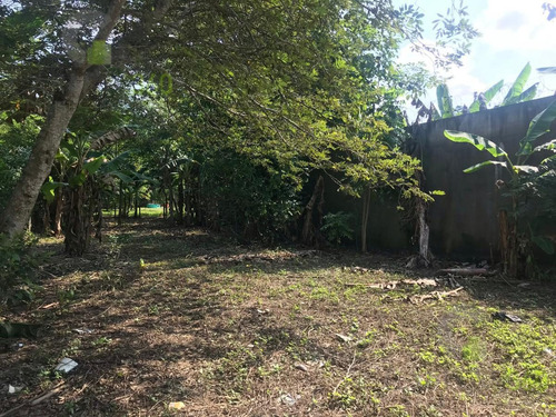 Imagen 2 de 12 de Terreno - El Torito