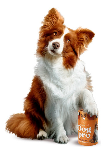 Suplemento Probiotico Amino Canino Mais Longevidade Pitbull