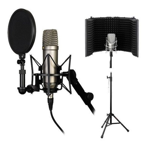 Rode Nt1-a Solucion Completa Grabacion Vocal Filtro Kit