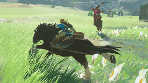 The Legend Of Zelda Breath Of The Wild Juego Nintendo Switch (Usado)