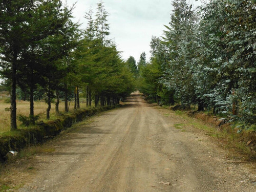 Imagen 4 de 9 de Rancho De 12 Has. Con Pozo Profundo Y Agua De Manantial