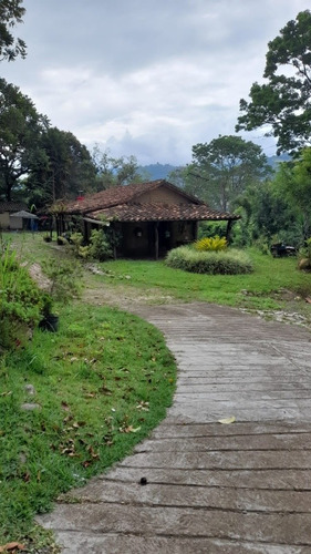 Imagen 2 de 18 de Granja En Peribeca 1.4 Ha