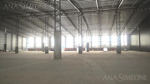 Imagen 3 de 8 de Excelente Nave Aaa De 11.500 M2 A Estrenar