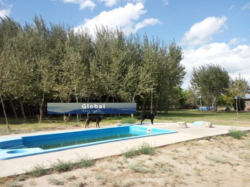 Imagen 13 de 26 de Excelente Finca De 31 Has En San Rafael , Mendoza Zona Vitivinícola Argentina