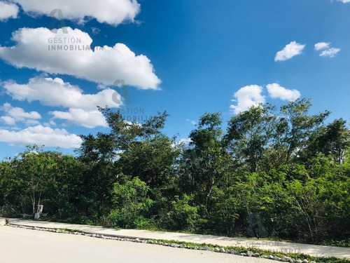 Imagen 1 de 9 de En Venta Terreno En Privada Dzidzil-ha. Ctv83.