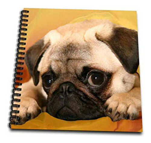 Cuadernos - 3drose Db_3644_3 Pug-mini Notepad, 4 By 4 