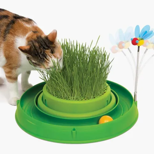 Catit circuit top