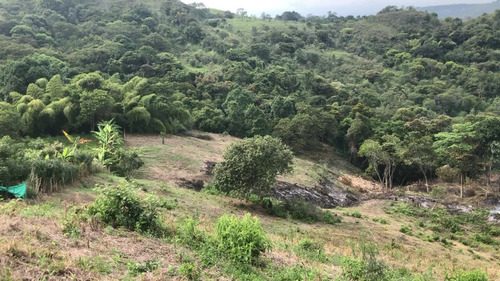 Lote Vereda La Selva, Corregimiento Costa Rica, Ginebra Valle Del Cauca