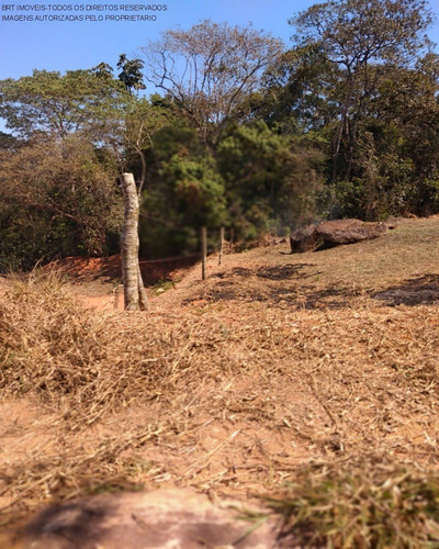 Imagem 1 de 11 de Terreno - Te00147 - 68899696