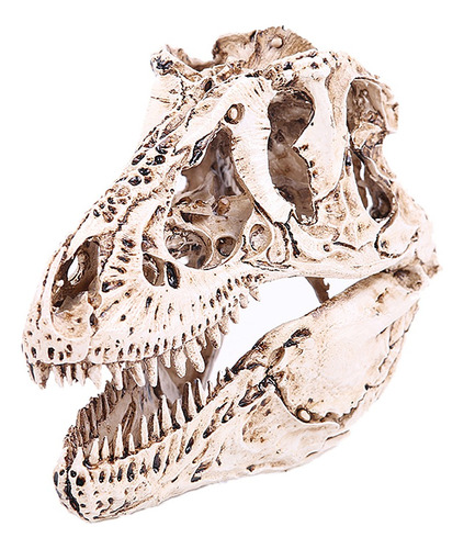 Cráneo De Dinosaurio Realista