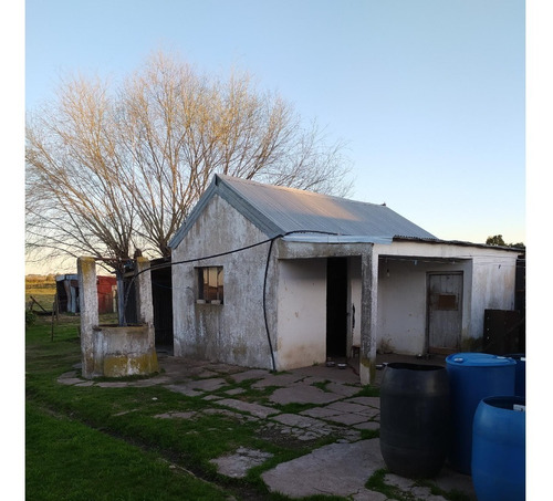 Imagen 6 de 8 de Vendo 12 Has Con Casa Pcipal, Casa Personal Y Galpón , Buen Lugar, Todo Alambrado