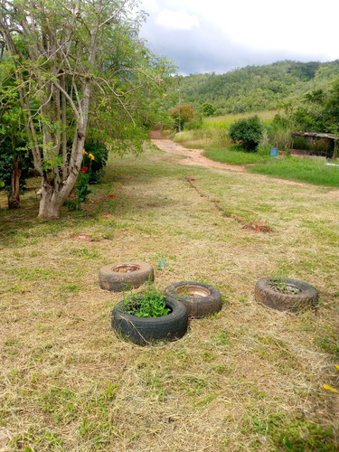Cerca Del Cc Daymar Guatire