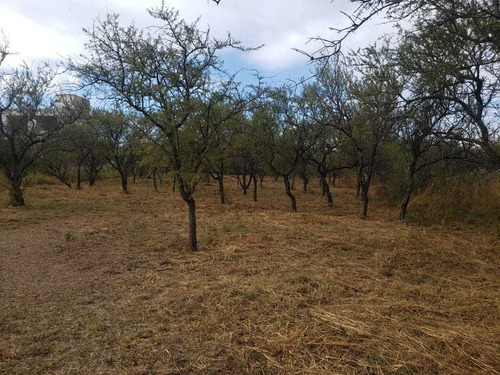 Imagen 3 de 7 de Terreno Venta Mendiolza Golf