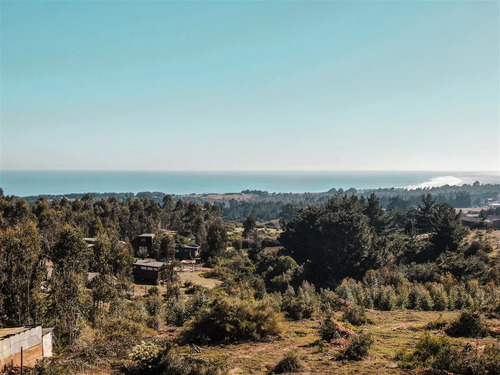 Terreno De 5.000m2 En Pangal, Con Vista Ak Mar Urbanizado