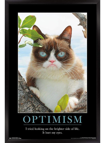Trends International Grumpy Cat - The Brighter Side Wall Pos