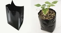 Comprar Bolsas Almácigos Plantas 15 X 15 En Pack 500 Bolsas