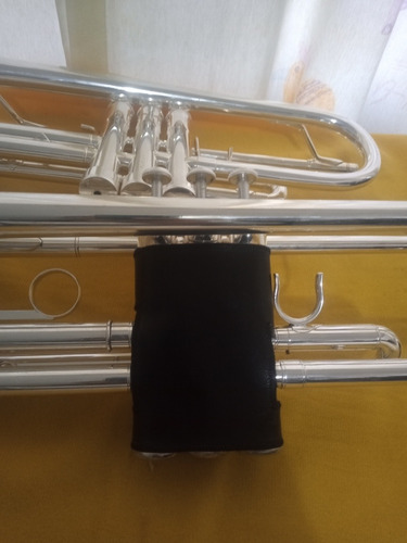 Protector Para Trompeta
