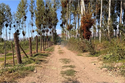 Venta Terreno Agrícola, Coltauco