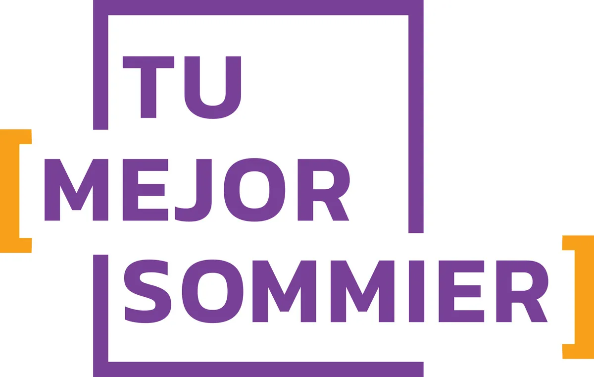 TU MEJOR SOMMIER