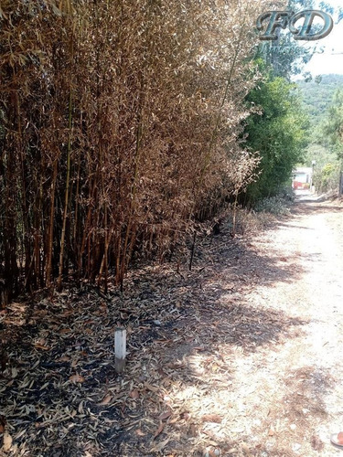 Imagem 7 de 7 de Terrenos À Venda Em Mairiporã/sp - Compre O Seu Terrenos Aqui! - 1496299
