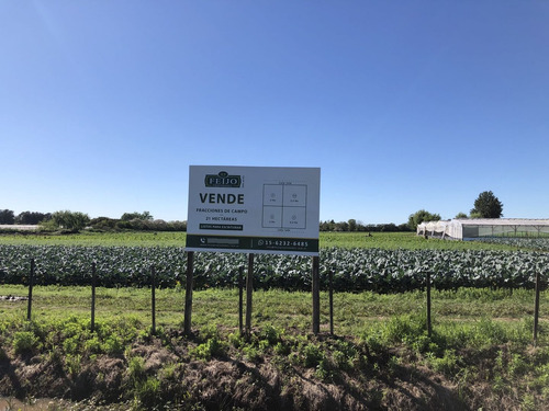 Campo En Venta En Florencio Varela