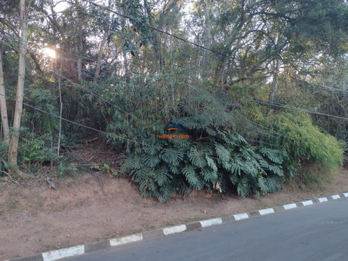 Imagem 4 de 5 de Terreno - Te00062 - 69839158