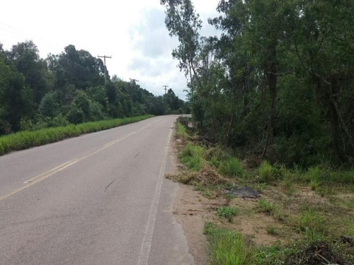 Imagem 3 de 7 de Terreno - Te00042 - 32976967
