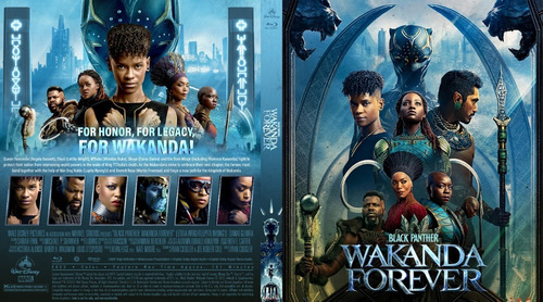 Black Panther: Wakanda Forever 2022 En Bluray. Esp. Lat!