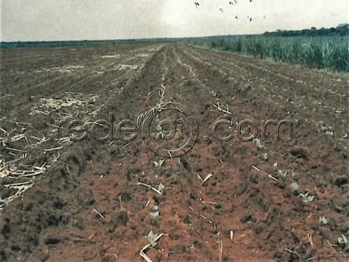 Imagem 4 de 9 de Fazenda De 2.400,99 Alqueires Goianos (usina De Álcool Desativada) - Arraias-to - Fa00002 - 67615479