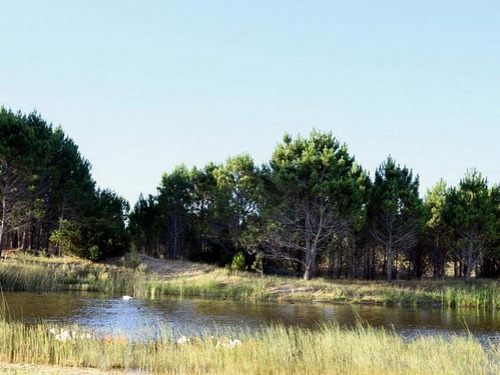 NORTHBEACH Pueblo de mar - Lotes