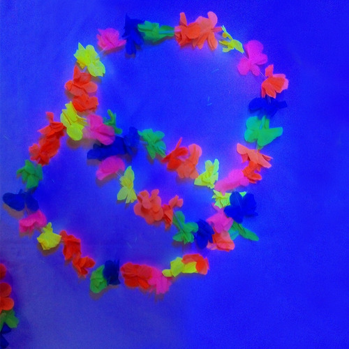 Imagen 3 de 9 de Collar Hawaiana Hora Loca Neon