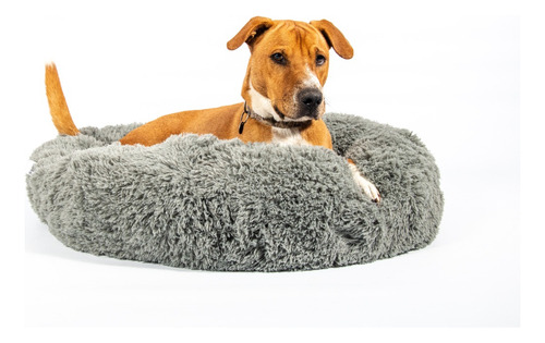 Catre Para Perro Nido Nórdico Colchon Moises Cama Eggys X L Color Gris