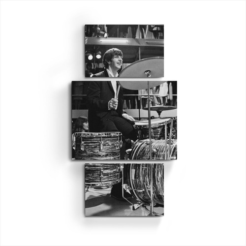 Cuadro Triptico Decorativo The Beatles Ringo Starr Tic Time