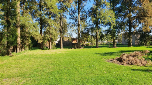 Casa Quinta En Venta, Brandsen