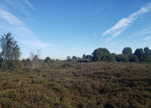 Terreno Orilla Camino