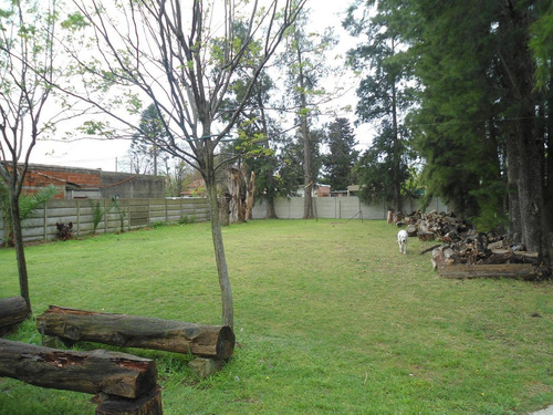 Imagen 5 de 30 de Casa En Venta La Plata Calle 524 Esq. 139 Dacal Bienes Raices