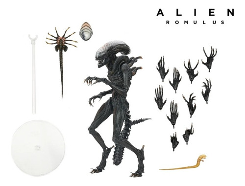 Neca Alien Romulus Schorched Xenomorph