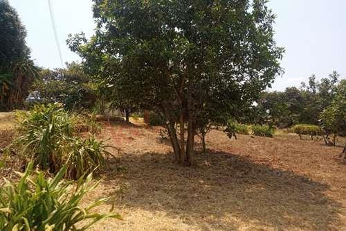 Venta De Terreno 240 M2 Con Clima Calido Tenancingo