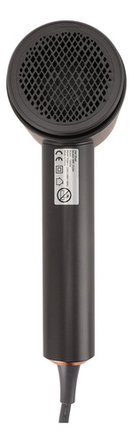 Secador De Pelo Iónico Ion Blow Professional Portable