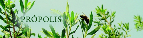 Imagem 6 de 8 de Propomax - Extrato De Própolis Verde 30ml Apis Flora