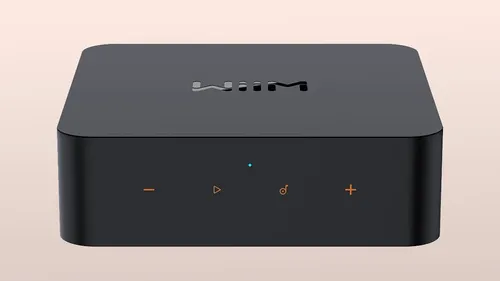 Wiim Pro Plus + Streamer Amplificador Controle Remoto Voz