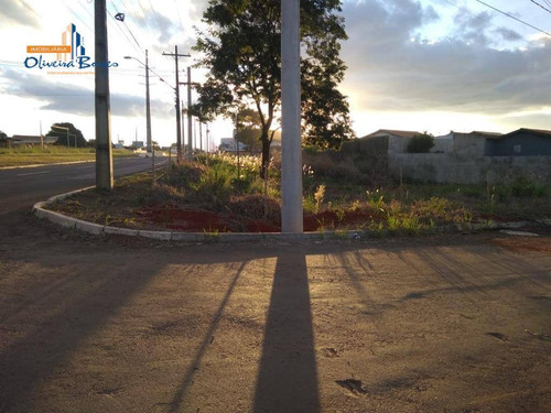 Imagem 4 de 5 de Terreno À Venda, 678 M² Por R$ 550.000,00 - Parque Brasília 2ª Etapa - Anápolis/go - Te0603