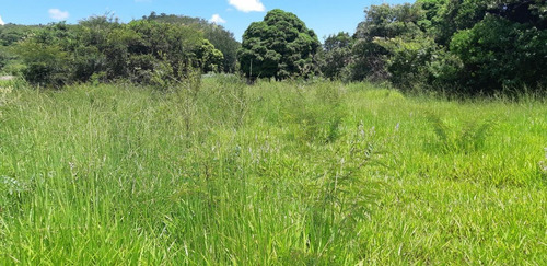 Imagem 6 de 15 de Fazenda Para Venda Em Monjolos, Quebra Pé, 4 Dormitórios, 1 Banheiro - F16_1-1713401