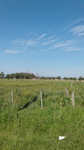 Se Buscan Campos En Venta