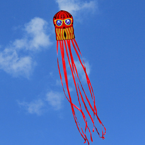 Cometa Animal De Dibujos Animados De Pulpos Con Cola Larga P