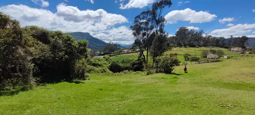 Lote En Venta En Vereda San Rafael. Cod V13714
