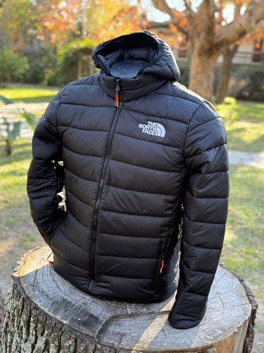Campera Térmica Liviana Tnf