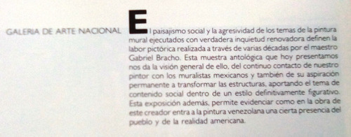 Gabriel Bracho. Naturaleza E Historia. Catálogo.